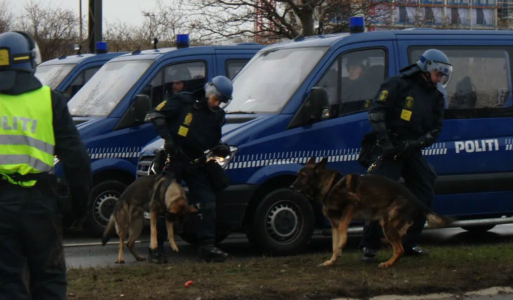 German Shepherd working alongside a K9 handler